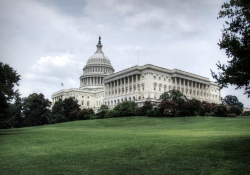 The Role of Special Interest Groups in Washington DC Politics: An Expert's Perspective